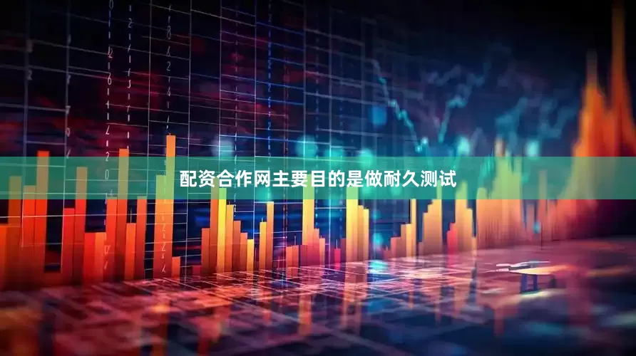 配资合作网主要目的是做耐久测试