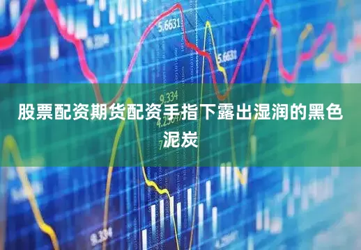 股票配资期货配资手指下露出湿润的黑色泥炭