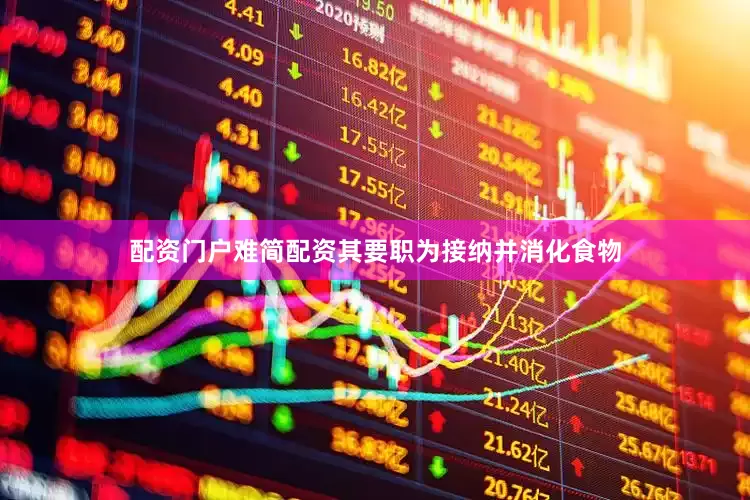 配资门户难简配资其要职为接纳并消化食物