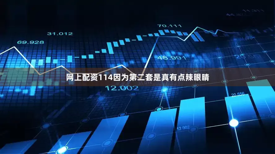 网上配资114因为第二套是真有点辣眼睛
