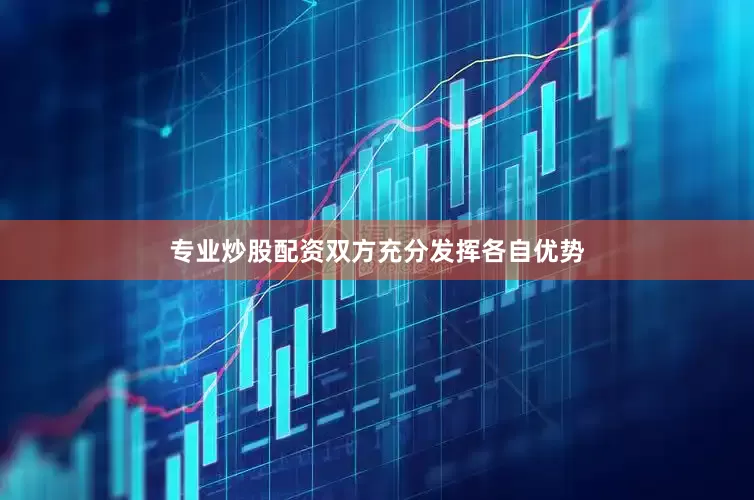 专业炒股配资双方充分发挥各自优势