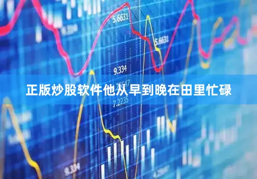 正版炒股软件他从早到晚在田里忙碌