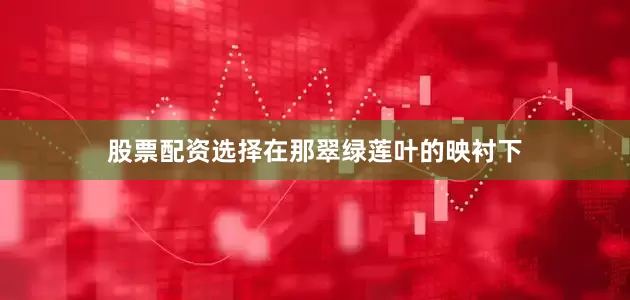 股票配资选择在那翠绿莲叶的映衬下