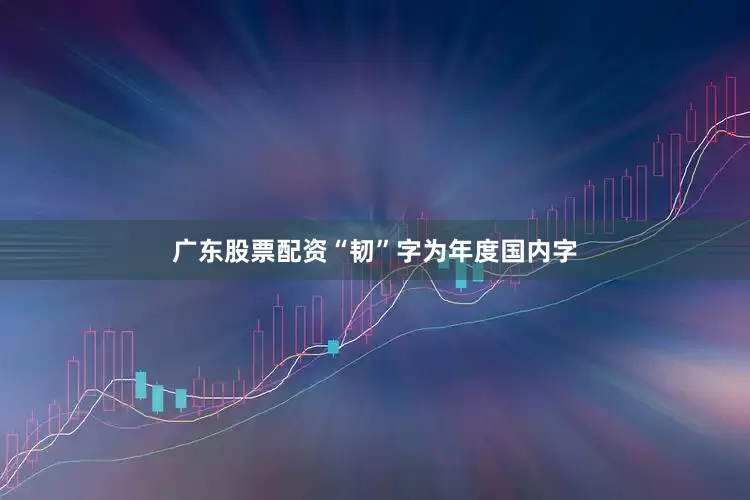 广东股票配资“韧”字为年度国内字