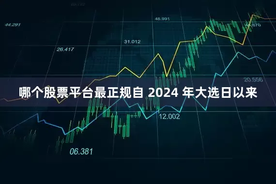 哪个股票平台最正规自 2024 年大选日以来